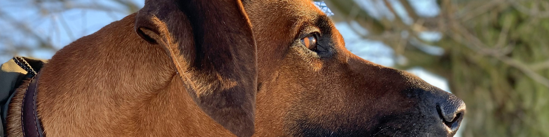 VEREEENIGING Bhengu Adnan Moyo